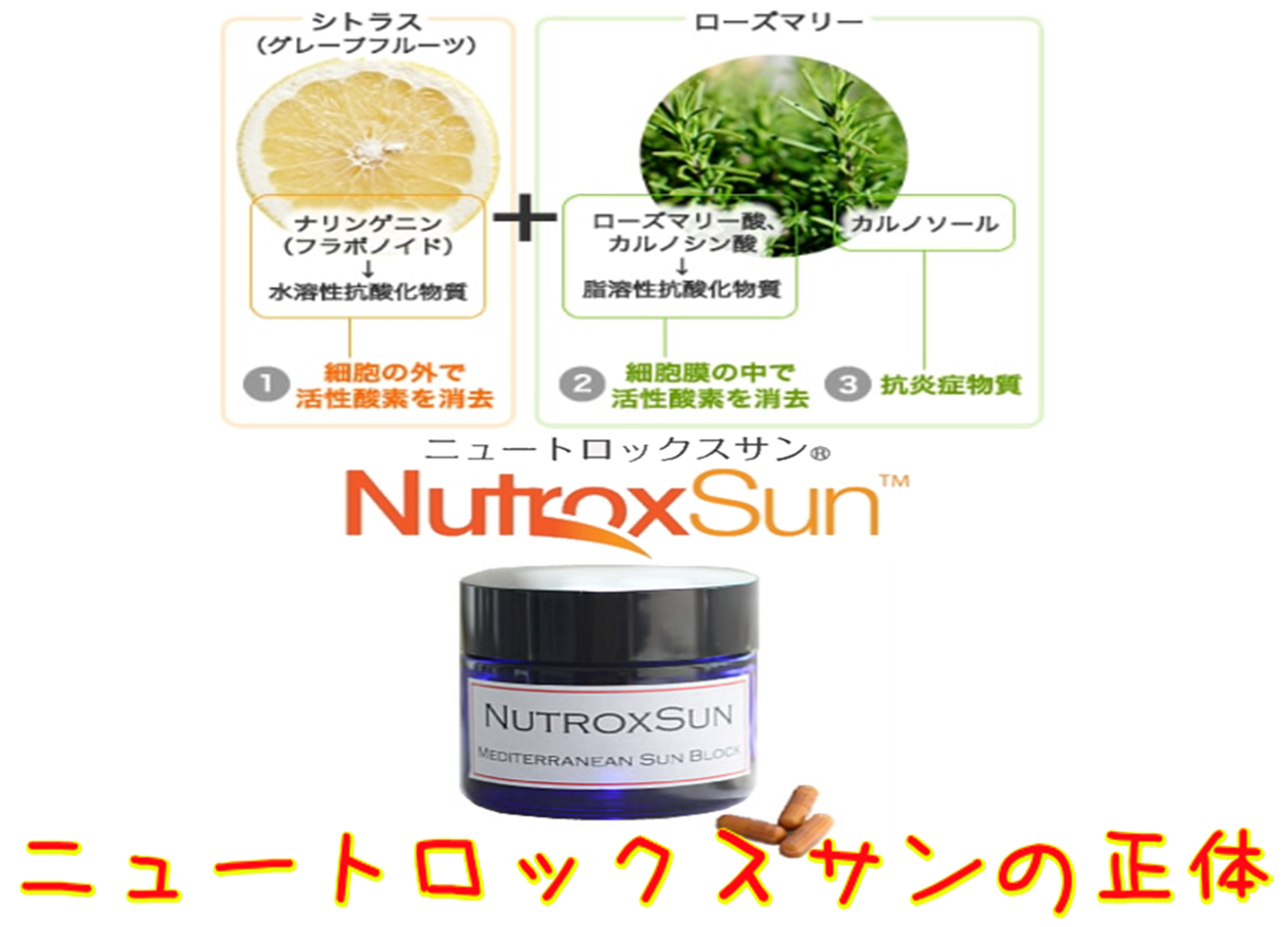 ニュートロックスサン